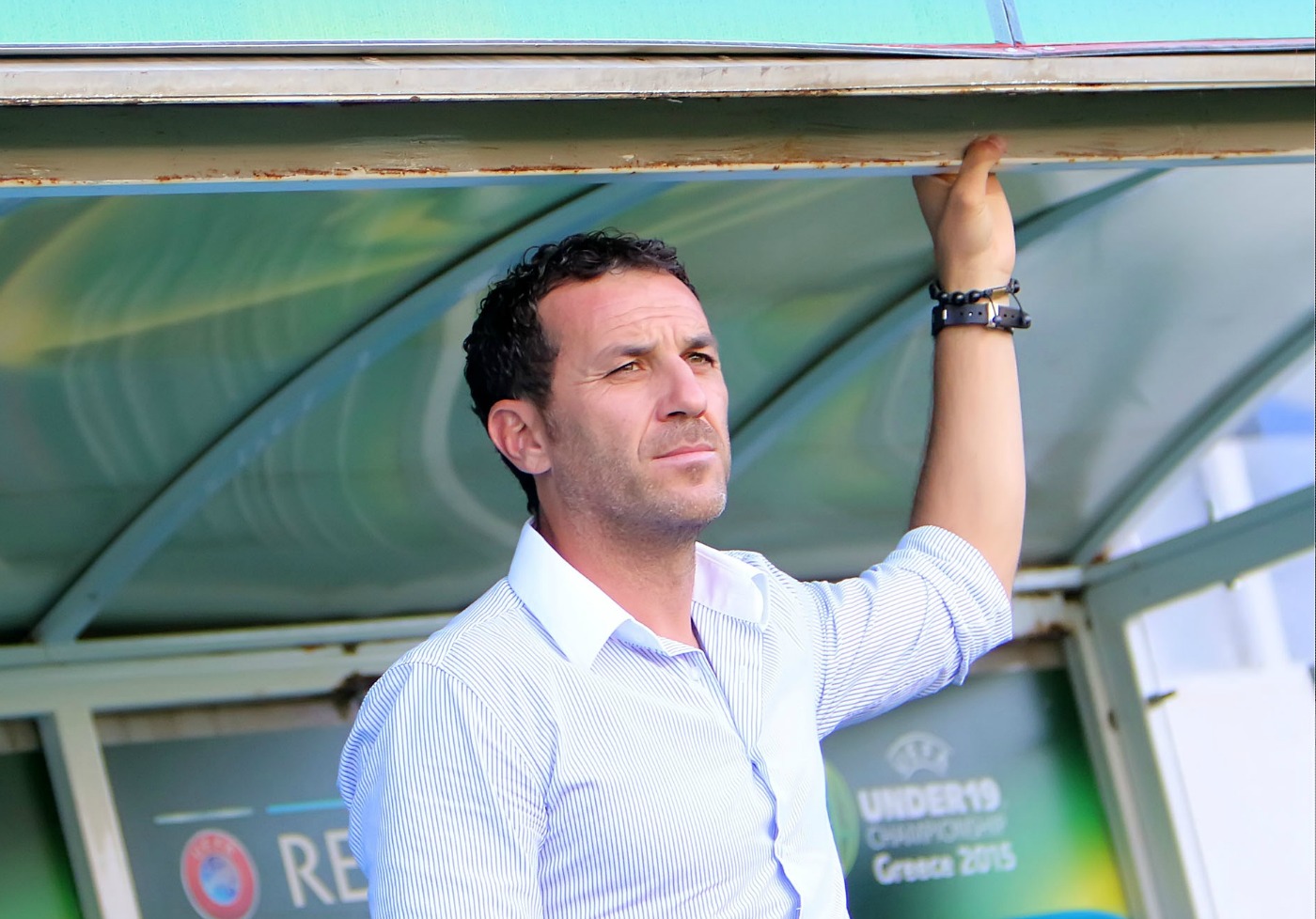 pegasus_large_t_1301_107175523